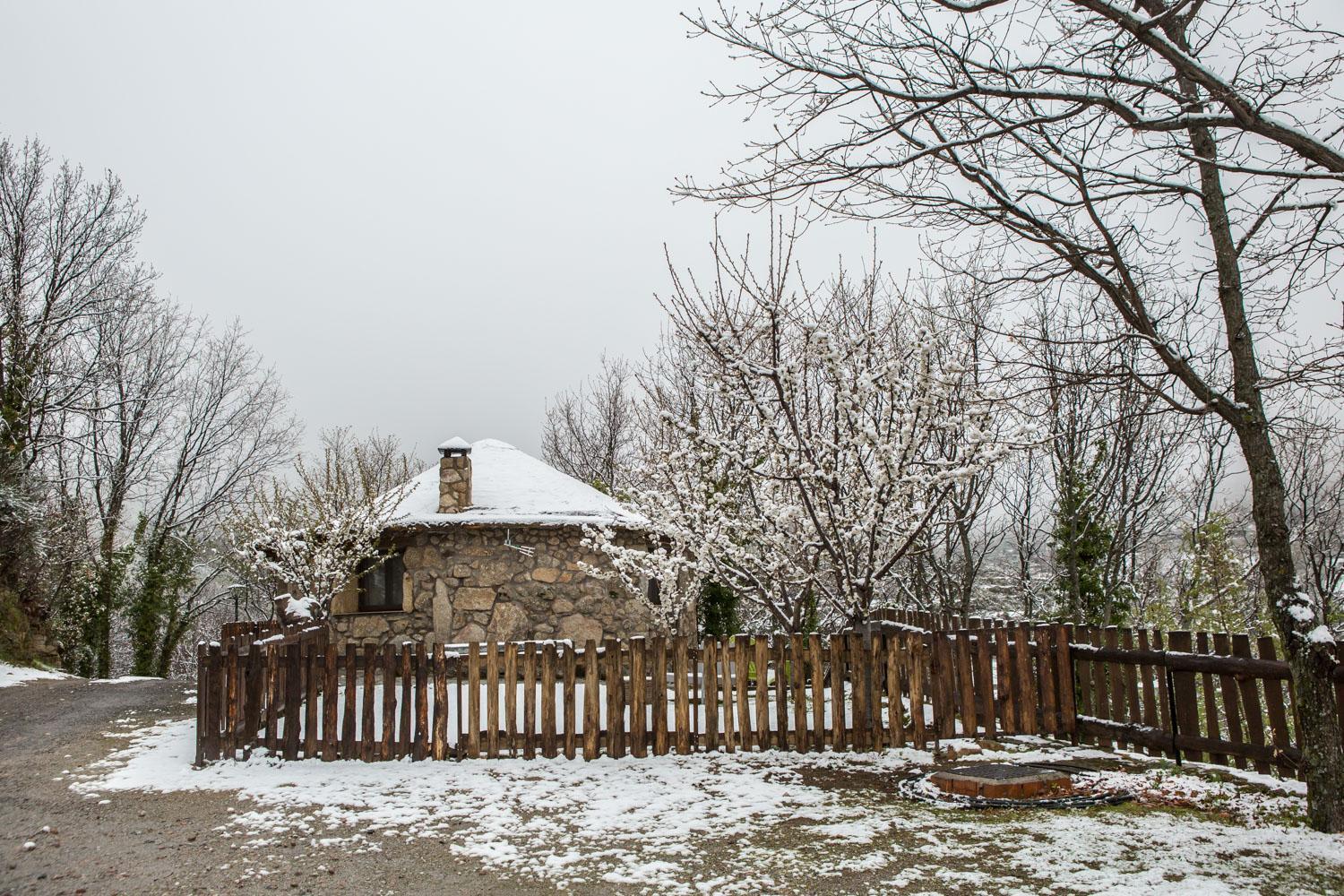 Apartamentos Rurales El Solitario Banos De Montemayor Εξωτερικό φωτογραφία